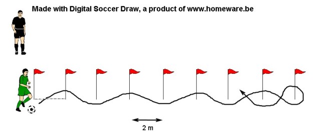 De dribbel test